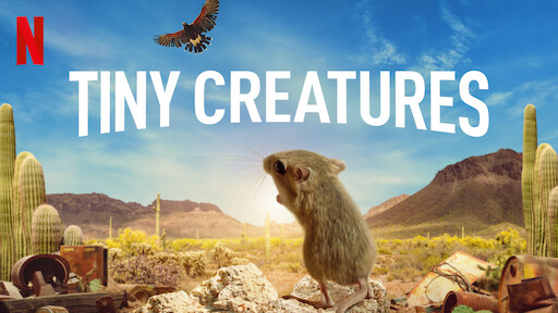 Watch Animal | Netflix Official Site Watch Animal | Netflix Official Site