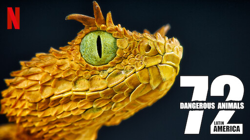 Watch Animal | Netflix Official Site Watch Animal | Netflix Official Site