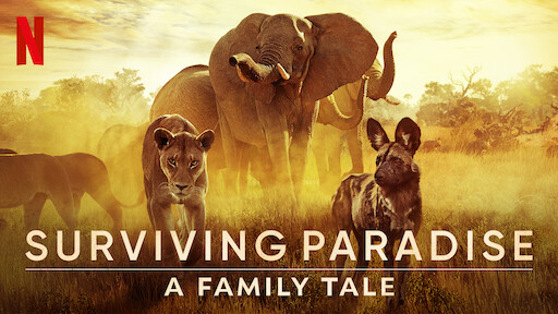 Watch Animal | Netflix Official Site Watch Animal | Netflix Official Site