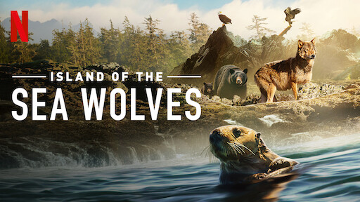 Watch Animal | Netflix Official Site Watch Animal | Netflix Official Site