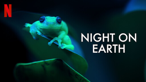 Watch Animal | Netflix Official Site Watch Animal | Netflix Official Site