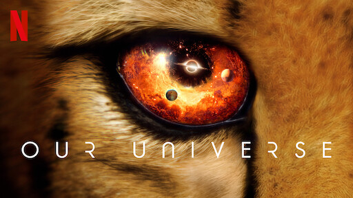 Watch Animal | Netflix Official Site Watch Animal | Netflix Official Site