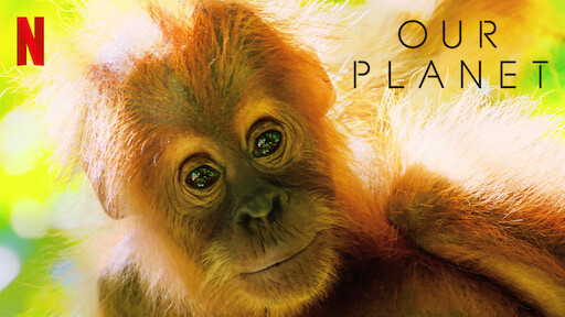 Watch Animal | Netflix Official Site Watch Animal | Netflix Official Site